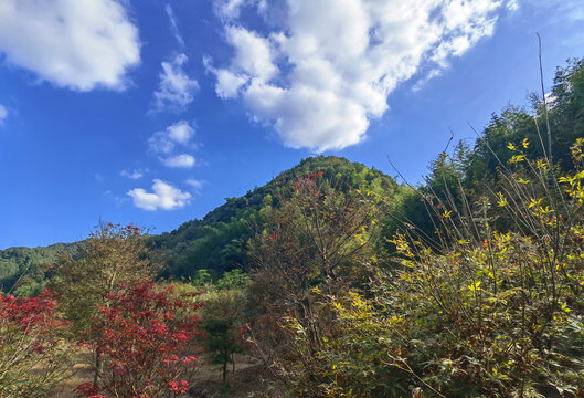 大水坑的山