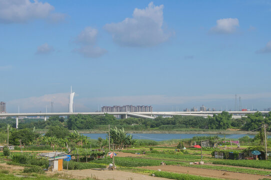 大桥和田园风景