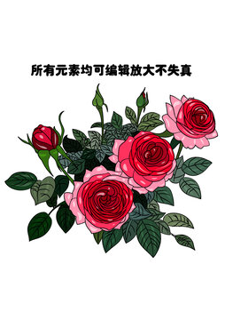 手绘玫瑰花