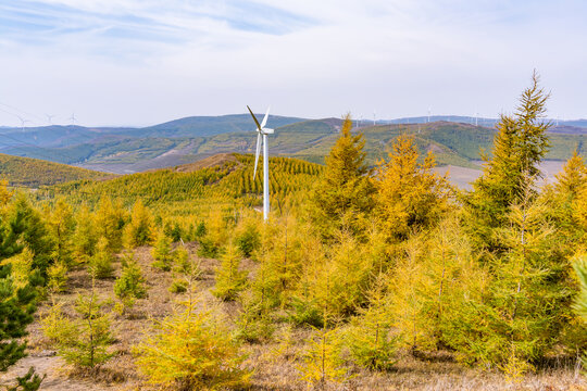 张北草原天路桦皮岭的秋季美景