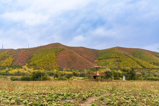 张北草原桦皮岭的秋季美景
