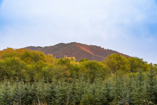 张北草原桦皮岭的秋季美景