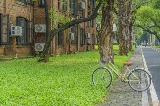 中山大学南校区