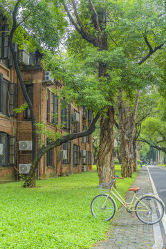 中山大学南校区