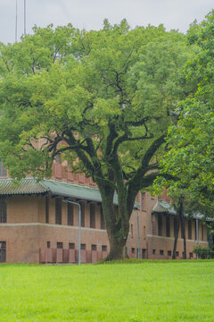 中山大学南校区