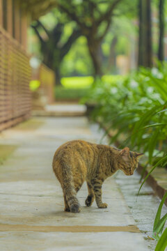 中山大学南校区