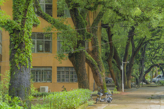 中山大学南校区