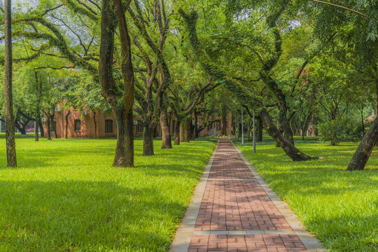 中山大学南校区