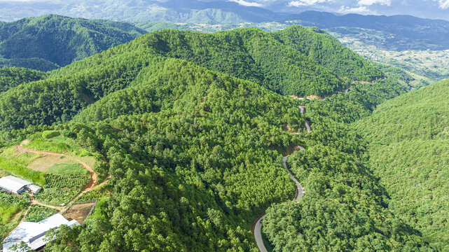 青山绿水