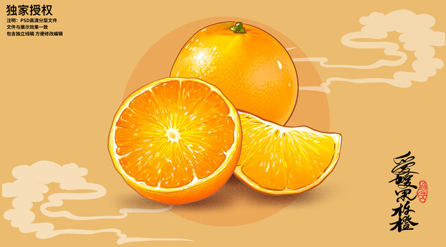 愛媛果凍橙插畫