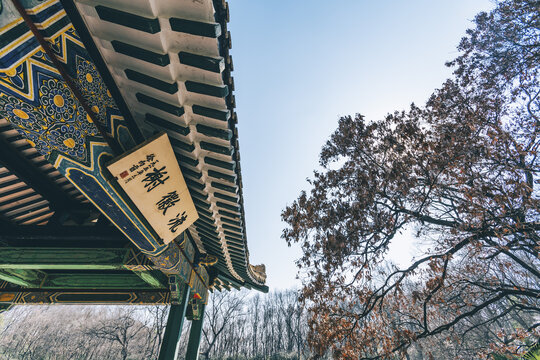 江苏南京钟山风景区景点流徽榭