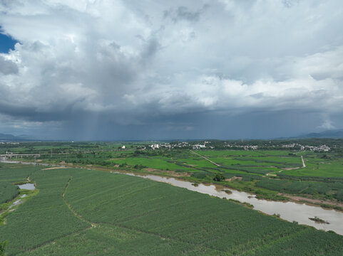 大雨将至