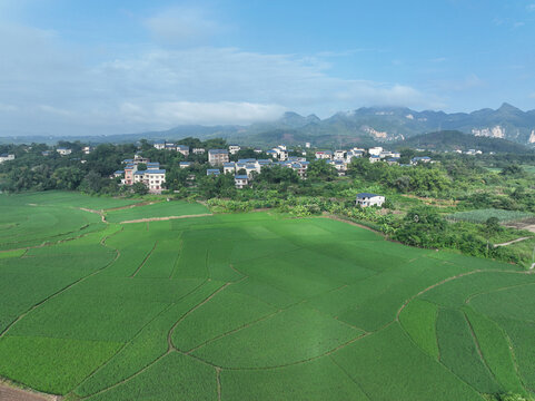 宁明县下州村