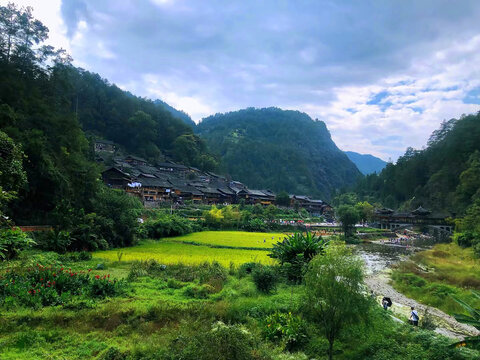 田野