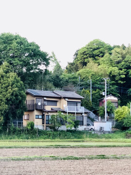 日本一户建