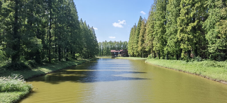 盐城黄海森林公园