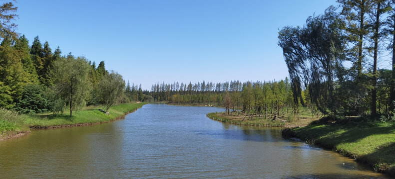 盐城黄海森林公园