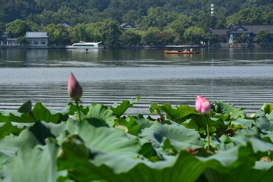 杭州西湖