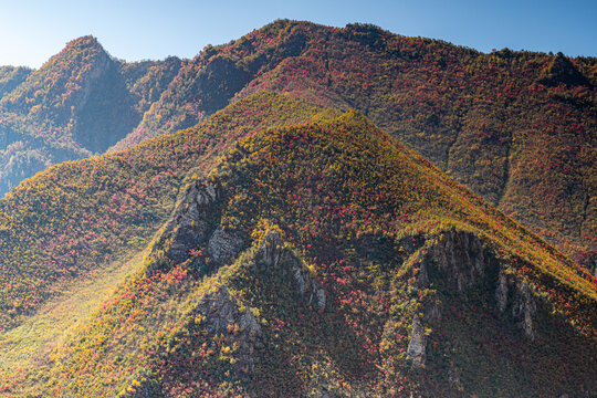 331国道秋色长白山