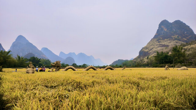 阳朔风光