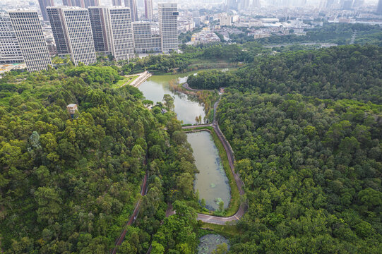 深圳红花岭低碳生态公园