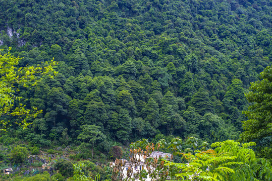 高山绿色植被