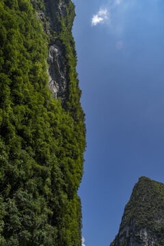 蓝天高山植被