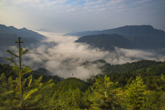 山林树林云雾山景