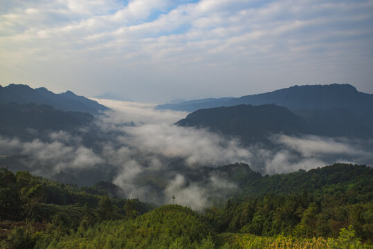 云海白云山景山林