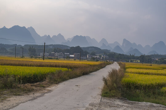 乡村稻田山景