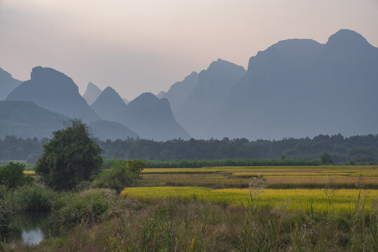 稻田山景