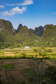 山景田园风景