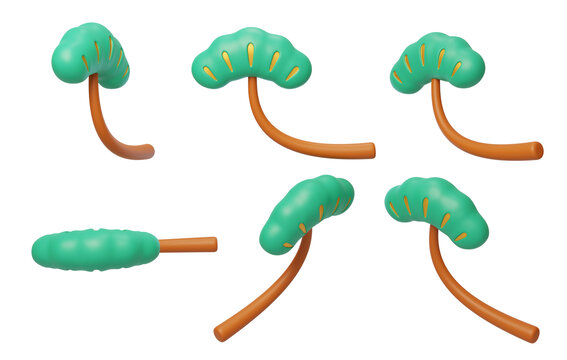 新年傳統(tǒng)喜慶春節(jié)發(fā)財(cái)樹3D