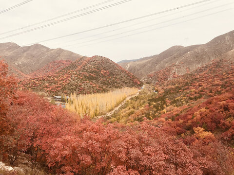 舞彩浅山