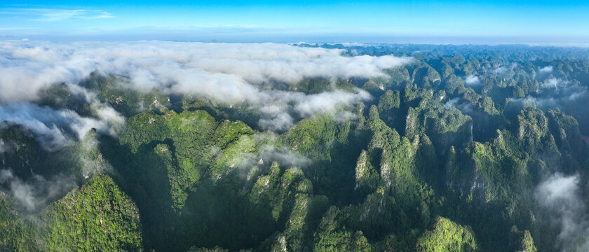 陇瑞自然保护区