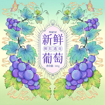 新鲜葡萄插画包装设计