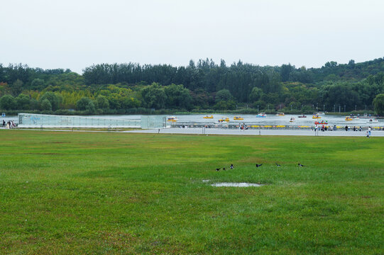 北京奥林匹克森林公园风景