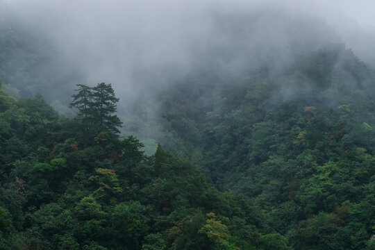 光雾山