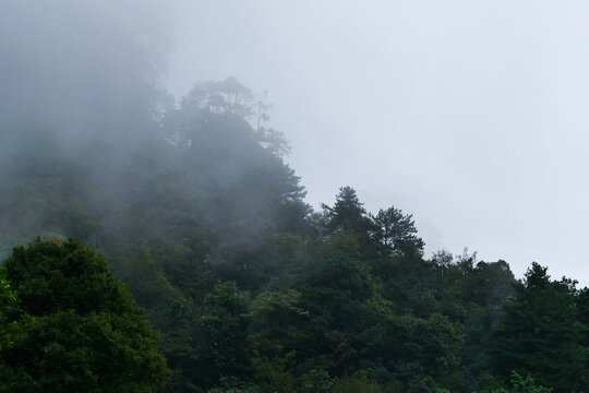 光雾山