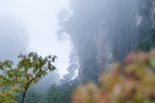 光雾山