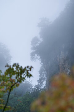 光雾山