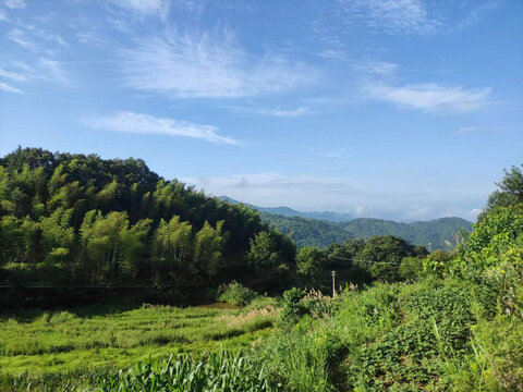 山野