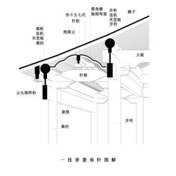 一枝香菱角轩图解线稿