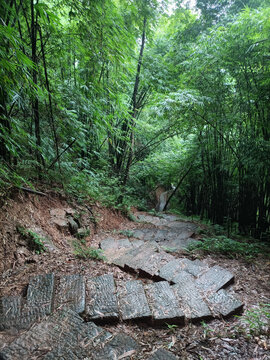 山间小路