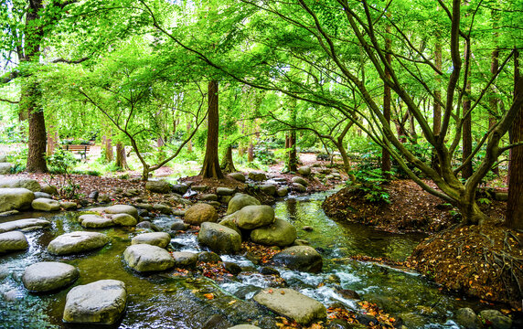 山林溪流