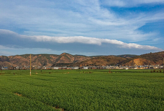 大理田野