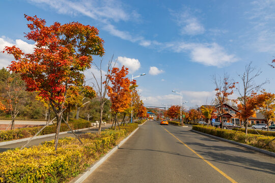 吉林市朱雀山枫叶景观