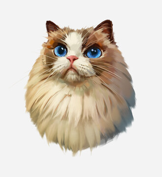 小猫插画