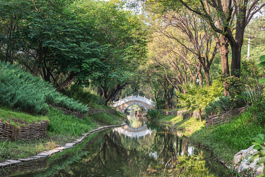 两山公园金河小桥自然风光