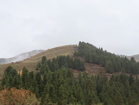 云雾缭绕的高山森林草原